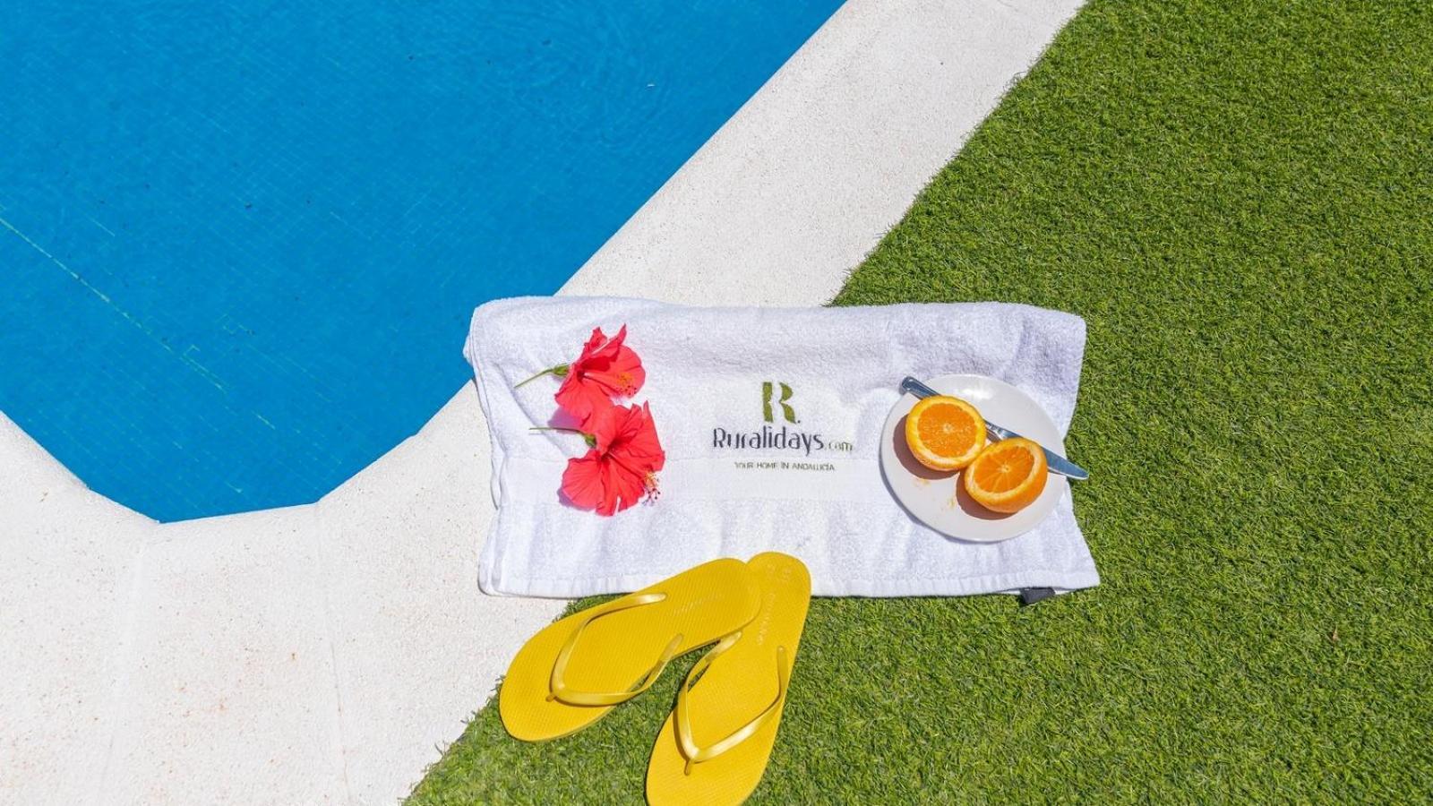 Los Tablazos 29 Nerja By Ruralidays Frigiliana Eksteriør bilde